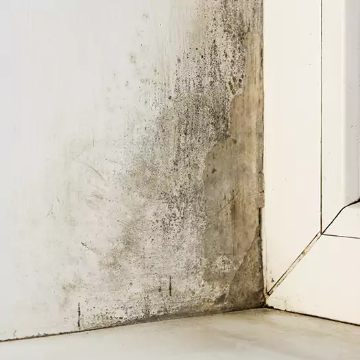 Skilled Mold on Drywall Experts in Lebanon, IN