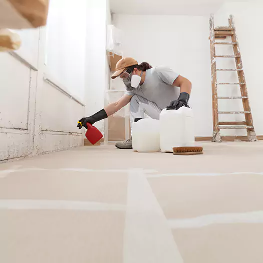 Reliable Mold Stain Remover Specialists in Lebanon, IN