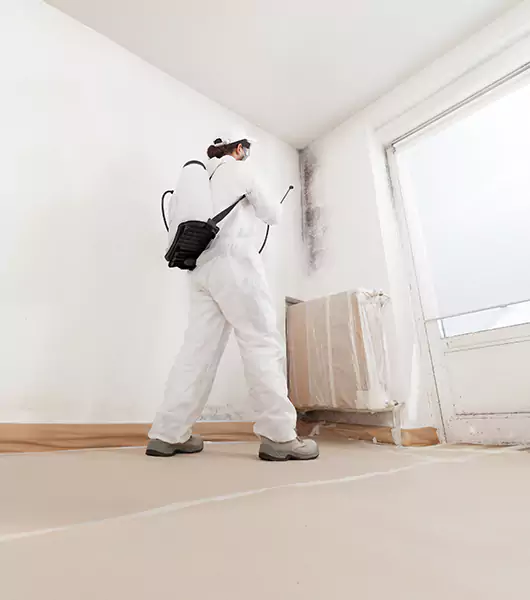 Specialists in All Areas of Mold Remediation and Water Damage Restoration in Lebanon, IN