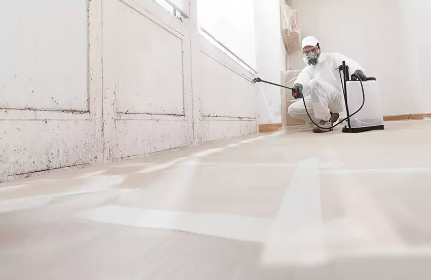 Professional Mold Remediation & Restoration Experts in Lebanon, IN