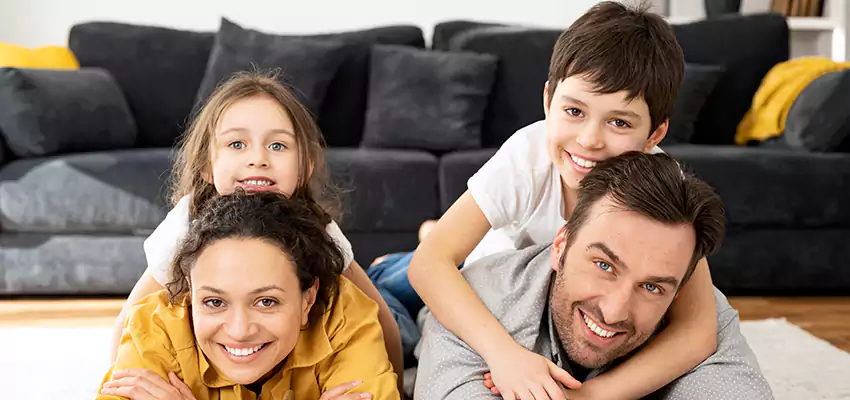 Mold Stain Remover for Wood in Lebanon, IN