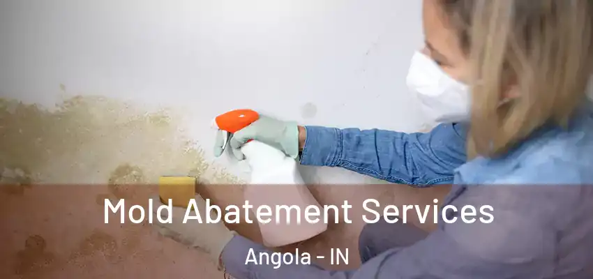 Mold Abatement Services Angola - IN