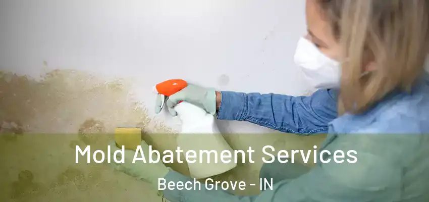  Mold Abatement Services Beech Grove - IN