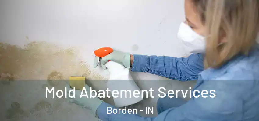  Mold Abatement Services Borden - IN