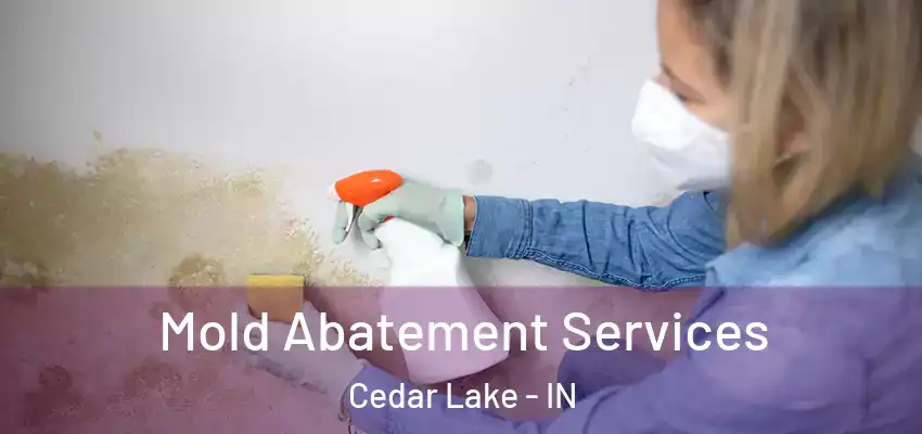  Mold Abatement Services Cedar Lake - IN
