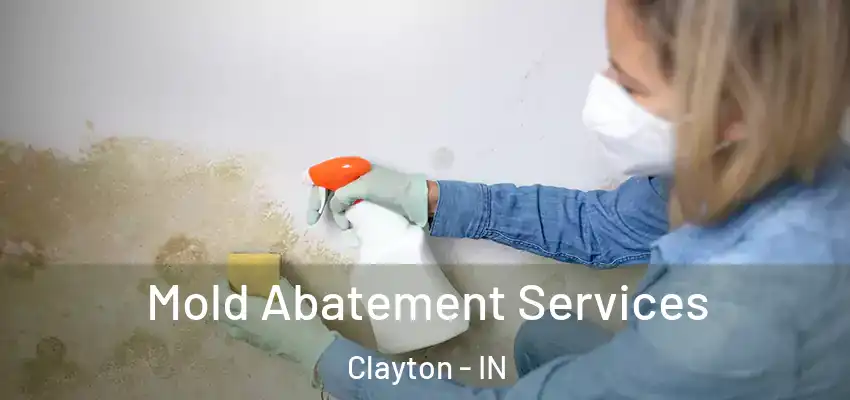 Mold Abatement Services Clayton - IN