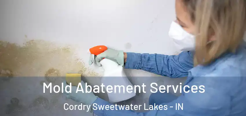 Mold Abatement Services Cordry Sweetwater Lakes - IN