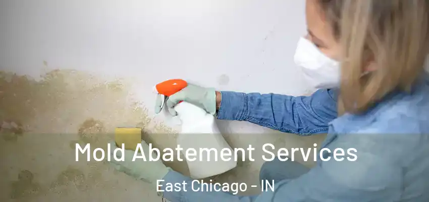 Mold Abatement Services East Chicago - IN