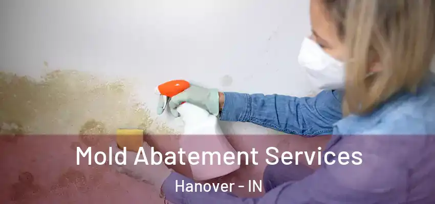  Mold Abatement Services Hanover - IN