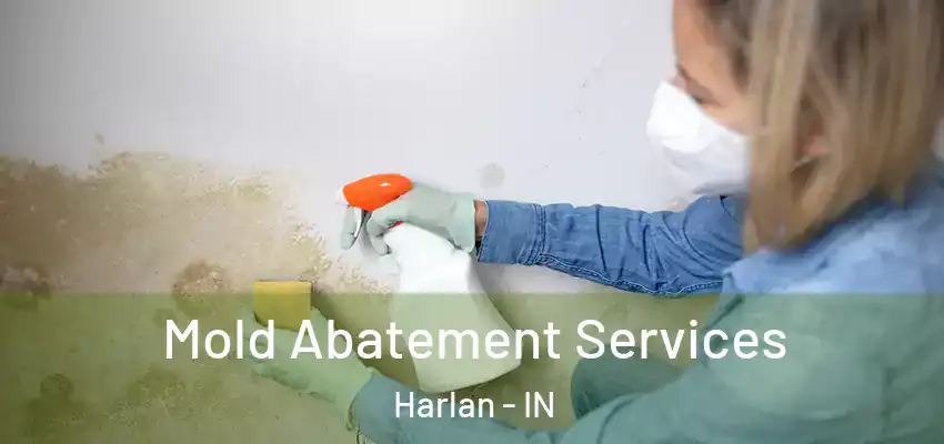  Mold Abatement Services Harlan - IN