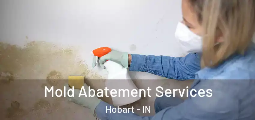  Mold Abatement Services Hobart - IN