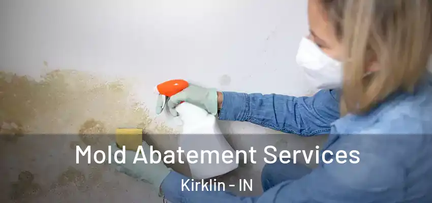  Mold Abatement Services Kirklin - IN