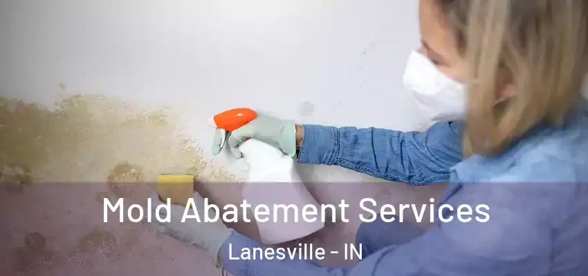  Mold Abatement Services Lanesville - IN
