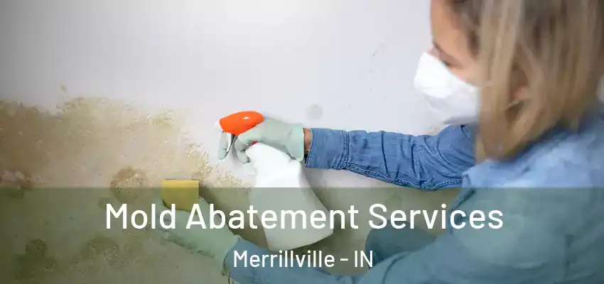  Mold Abatement Services Merrillville - IN