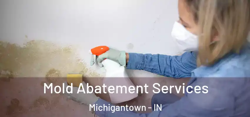  Mold Abatement Services Michigantown - IN