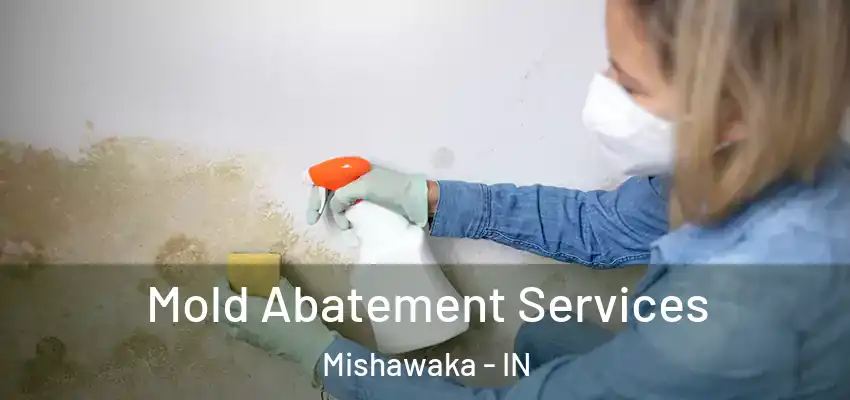  Mold Abatement Services Mishawaka - IN