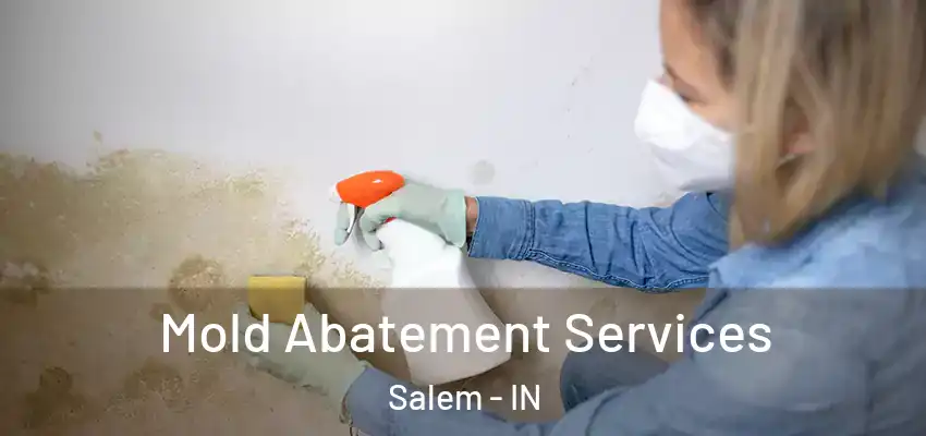  Mold Abatement Services Salem - IN
