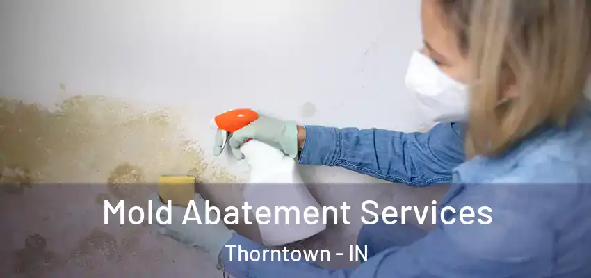 Mold Abatement Services Thorntown - IN