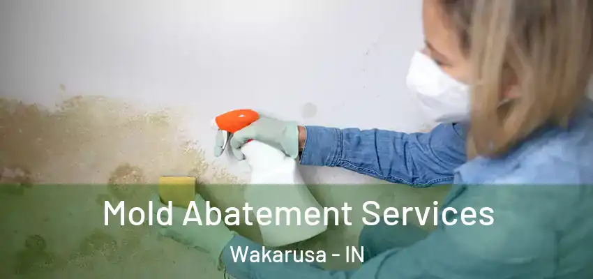  Mold Abatement Services Wakarusa - IN