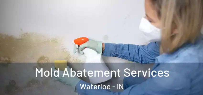  Mold Abatement Services Waterloo - IN