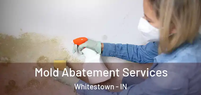  Mold Abatement Services Whitestown - IN