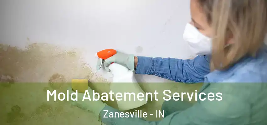  Mold Abatement Services Zanesville - IN