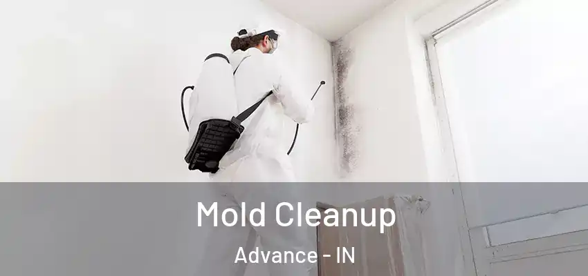  Mold Cleanup Advance - IN
