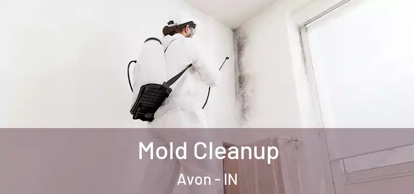  Mold Cleanup Avon - IN