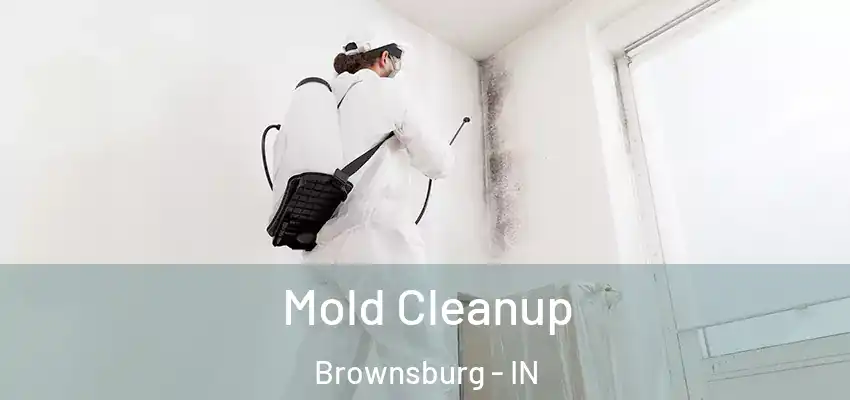  Mold Cleanup Brownsburg - IN