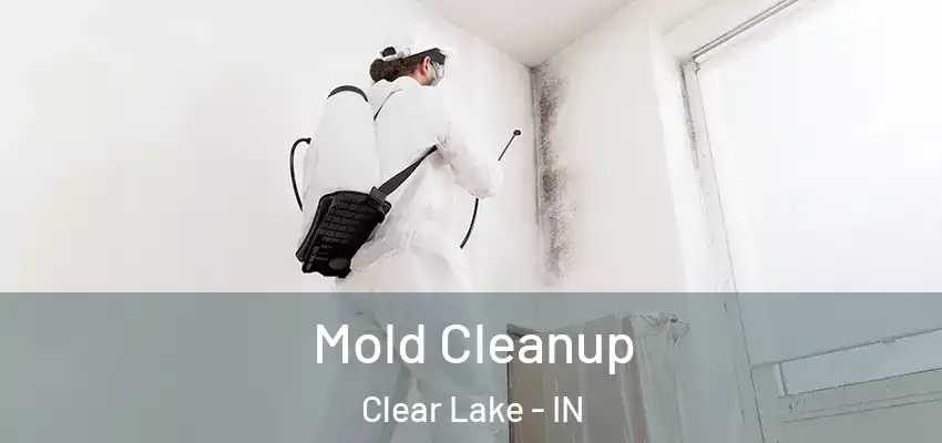  Mold Cleanup Clear Lake - IN