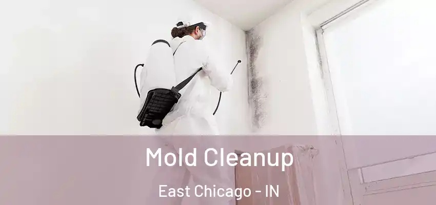  Mold Cleanup East Chicago - IN