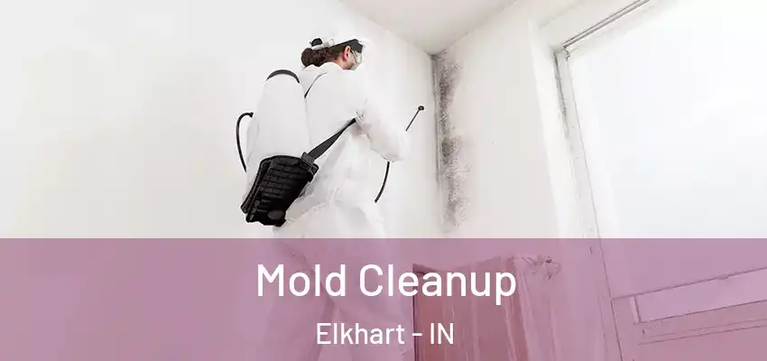  Mold Cleanup Elkhart - IN