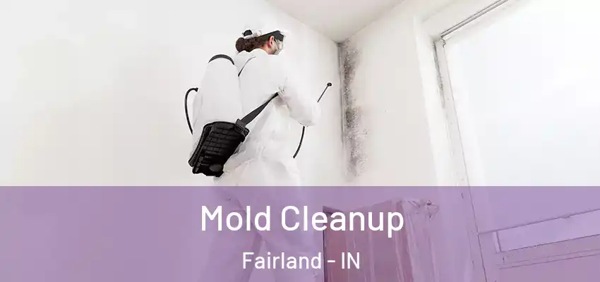  Mold Cleanup Fairland - IN