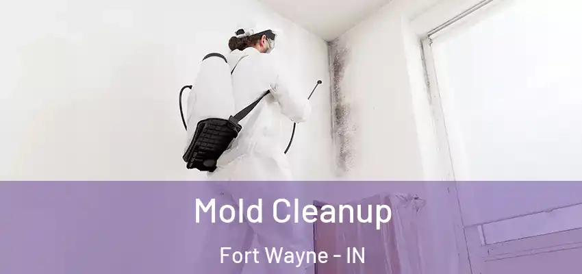 Mold Cleanup Fort Wayne - IN