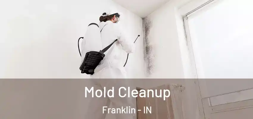  Mold Cleanup Franklin - IN
