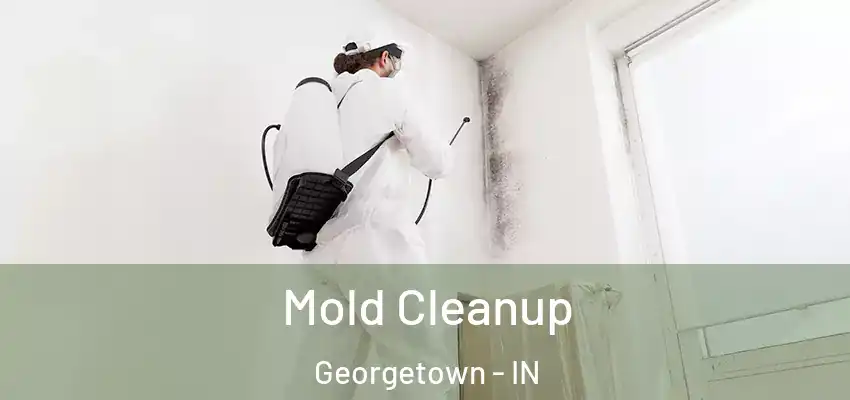  Mold Cleanup Georgetown - IN
