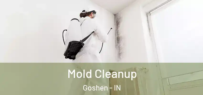  Mold Cleanup Goshen - IN