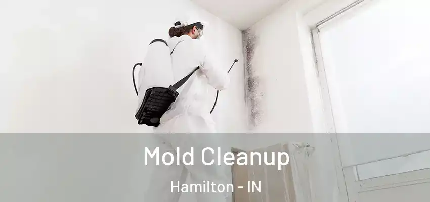  Mold Cleanup Hamilton - IN