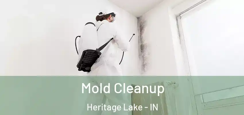  Mold Cleanup Heritage Lake - IN