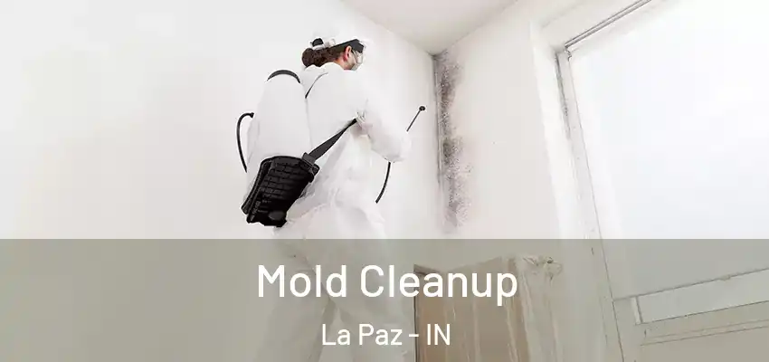  Mold Cleanup La Paz - IN