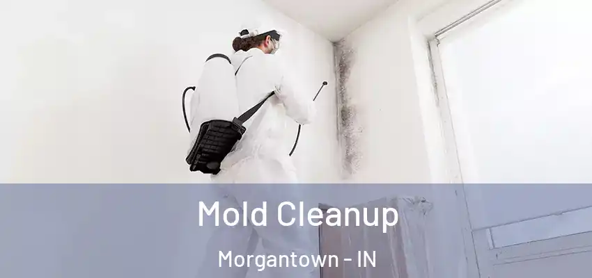  Mold Cleanup Morgantown - IN