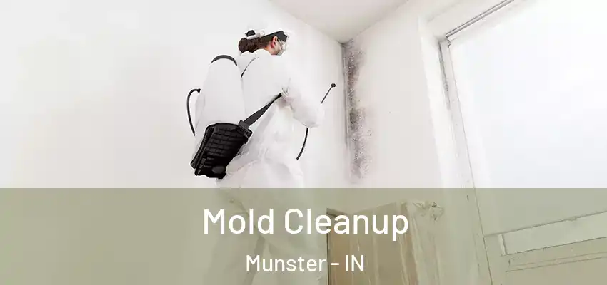  Mold Cleanup Munster - IN