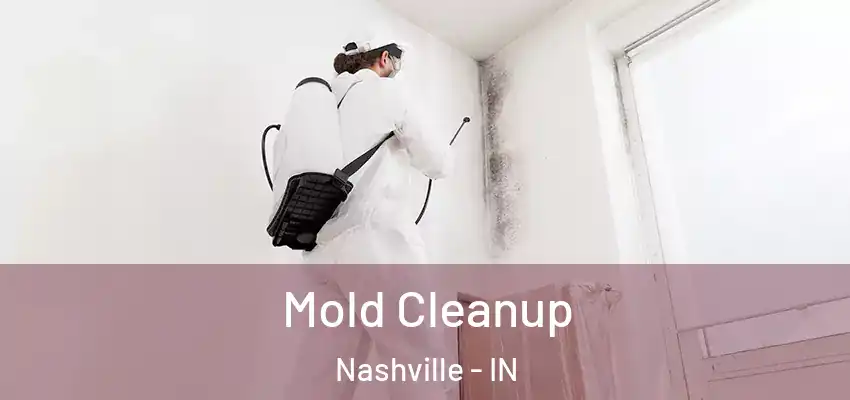  Mold Cleanup Nashville - IN