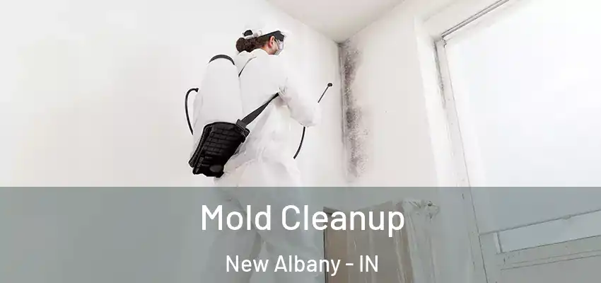  Mold Cleanup New Albany - IN