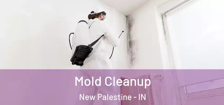  Mold Cleanup New Palestine - IN