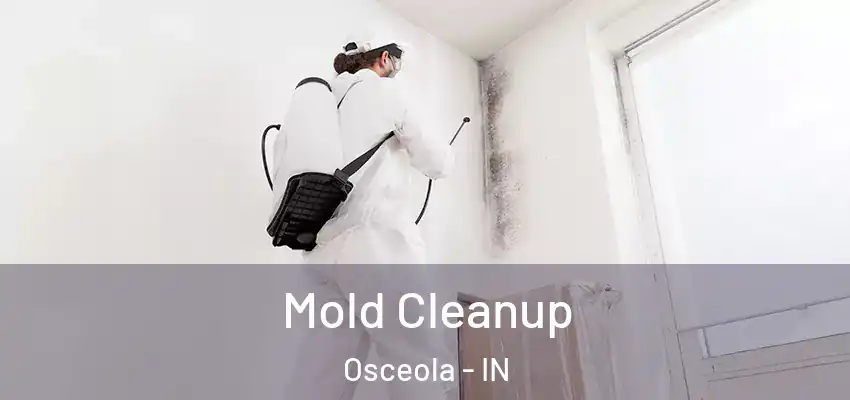  Mold Cleanup Osceola - IN