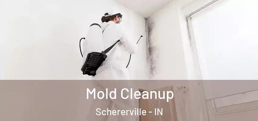  Mold Cleanup Schererville - IN