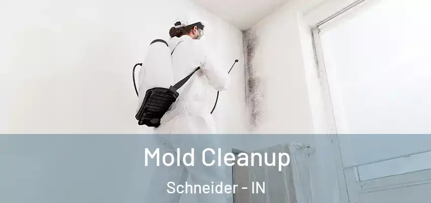  Mold Cleanup Schneider - IN
