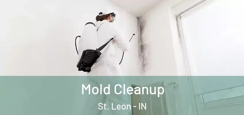  Mold Cleanup St. Leon - IN