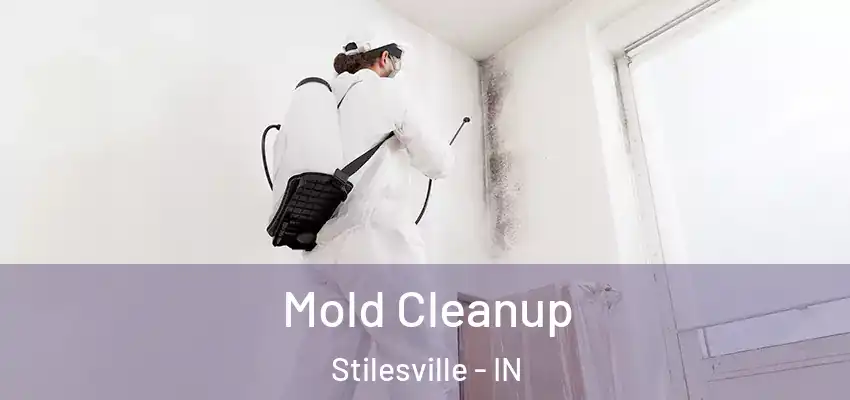  Mold Cleanup Stilesville - IN